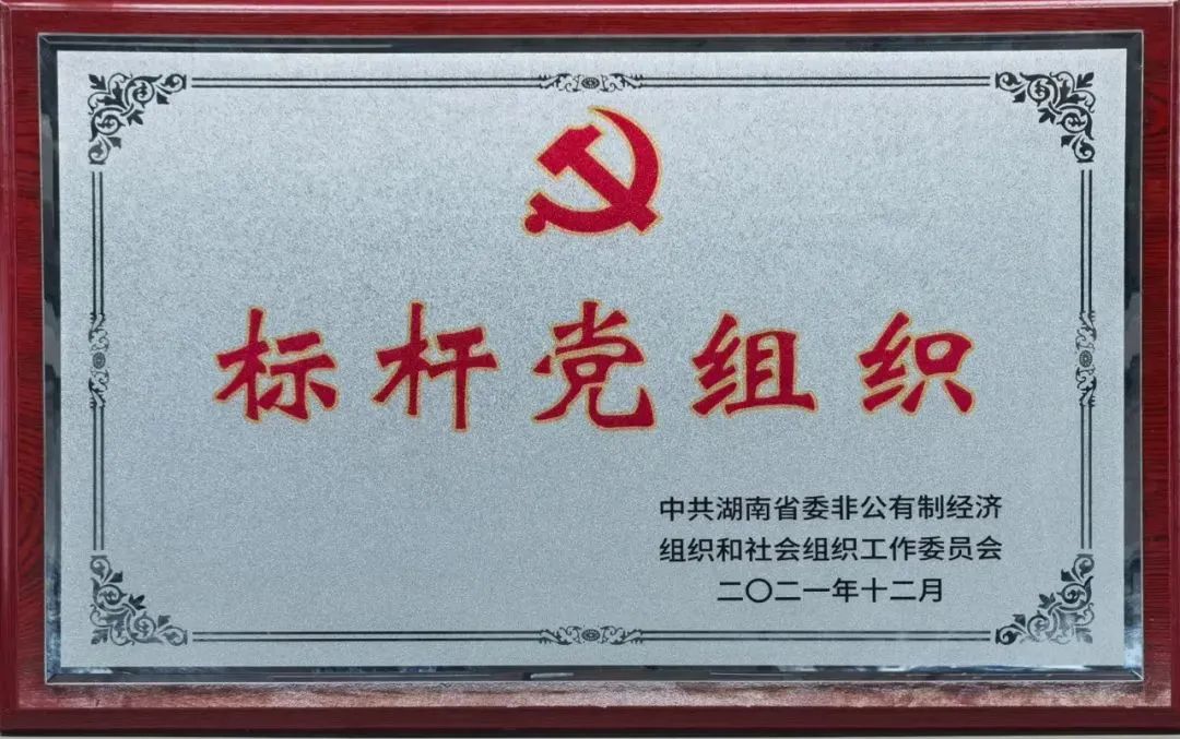 党建品牌亮起来！江山智能党委获评“标杆党组织”